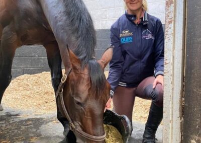 Aiding Hydration with Soaked Horse Feeds