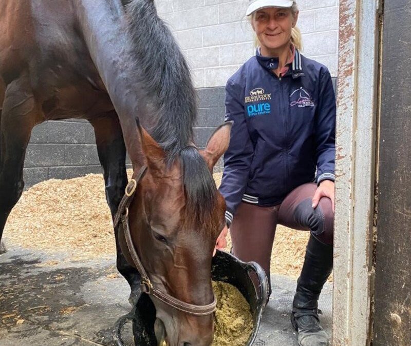 Aiding Hydration with Soaked Horse Feeds