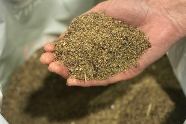 Handful of linseed in article about common questions about feeding horse supplements