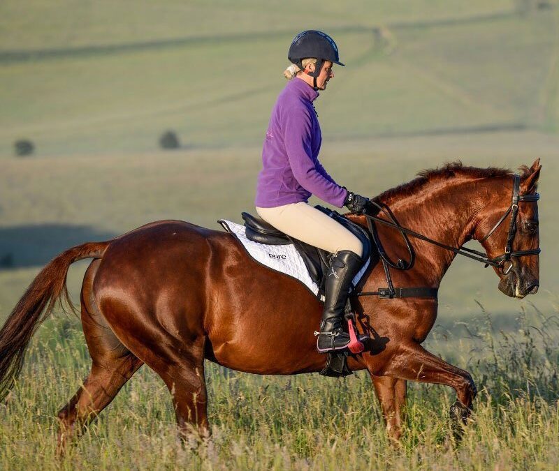 How to put weight on a horse: Pure Condition and weight gain