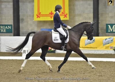 #PureTalent Rider News February 2020