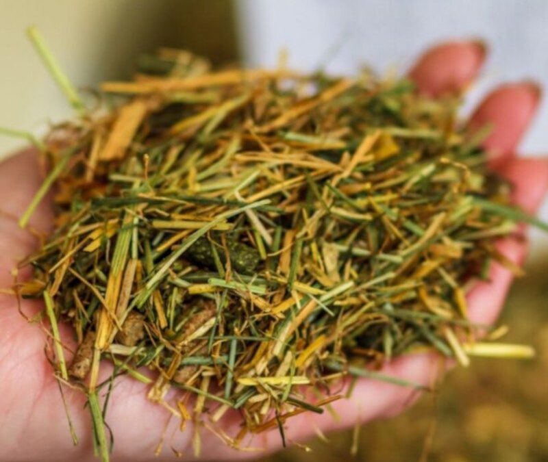 Is your horse feed made in the UK? 🇬🇧