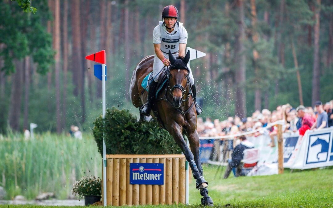 What are the best electrolytes for horses?
