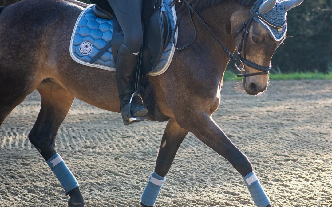 Should I feed my horse electrolytes?