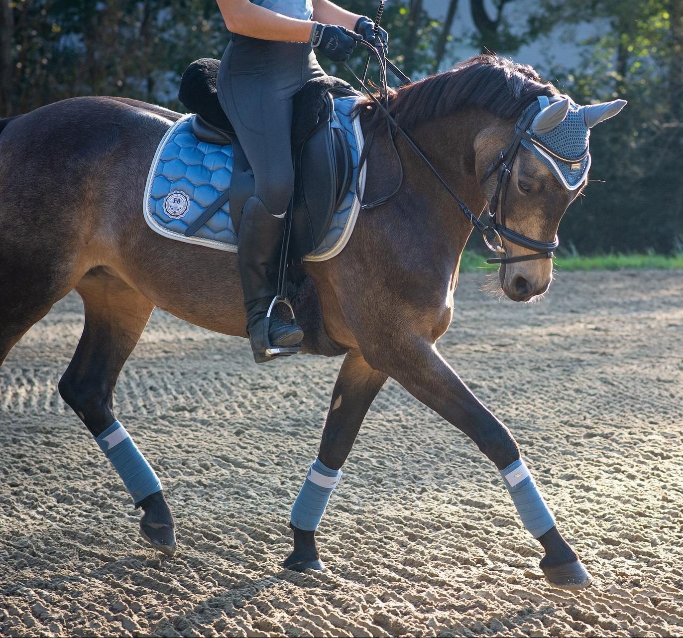 Should I feed my horse electrolytes?