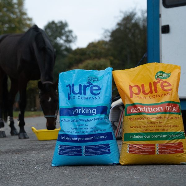 Pure Feed Working & Condition Mix – Complete Nutrition for Every Horse Bags of Pure Feed Working and Pure Feed Condition Mix horse feed placed beside a horsebox, with a horse eating in the background.