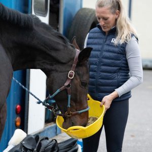 Pure Feed Condition Mix – Premium Feed for Weight & Muscle Gain A horse enjoying Pure Feed Condition Mix from a yellow bucket, fed by a rider in Pure Feed branded clothing near a horsebox.