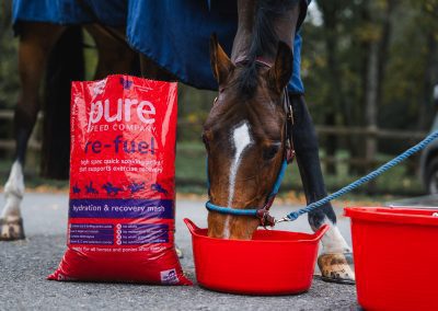 Supporting Muscle Recovery and Hydration