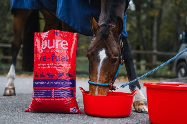 Pure ReFuel - Image 8