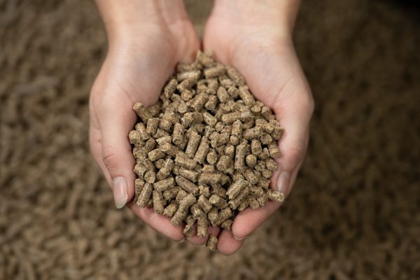 Pure Condition Pellets - Image 6