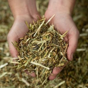 24-1659 - Pure Feed - Raw Ingreidents-137 24-1659 - Pure Feed - Raw Ingreidents-137