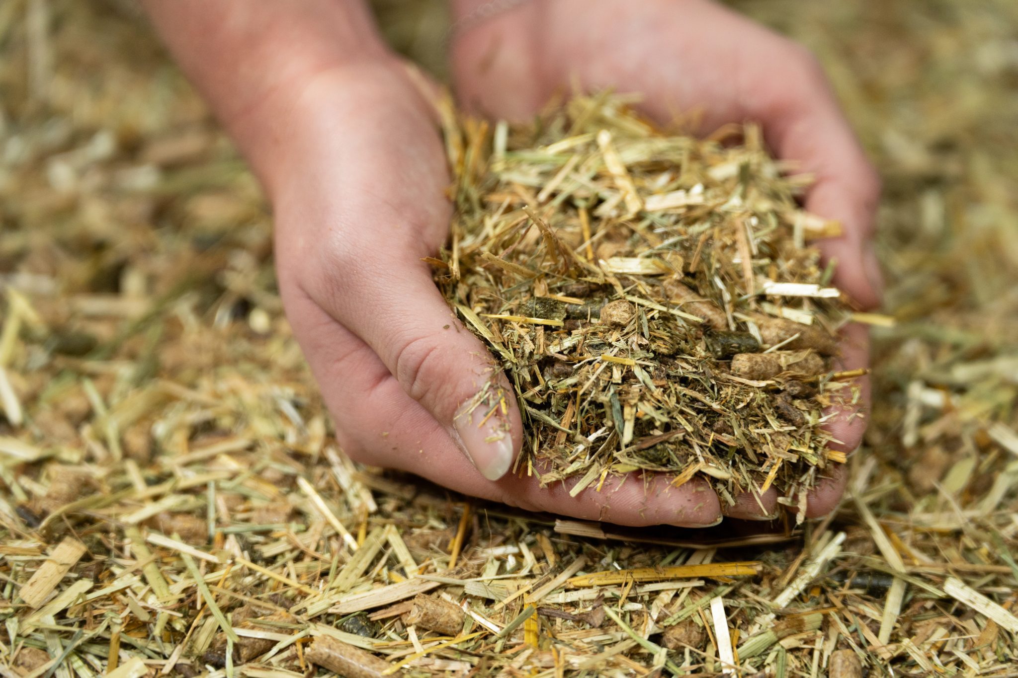 Pure Easy The Pure Feed Company