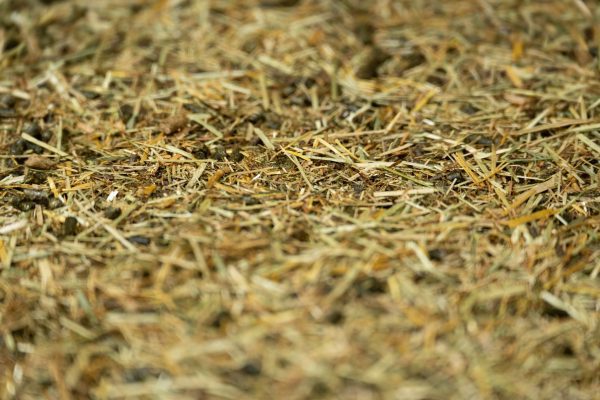 24-1659 - Pure Feed - Raw Ingreidents-55 24-1659 - Pure Feed - Raw Ingreidents-55