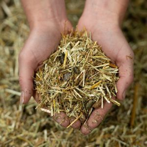 24-1659 - Pure Feed - Raw Ingreidents-74 24-1659 - Pure Feed - Raw Ingreidents-74