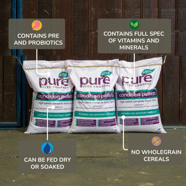 Pure Feed Company Condition Pellets – high-calorie horse feed for weight gain and topline