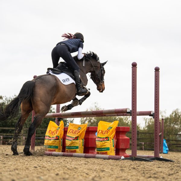 Pure Feed Condition Mix – Premium Conditioning Feed for Horses A horse and rider jumping over an obstacle in an arena, with Pure Feed Condition Mix bags placed along the fence.