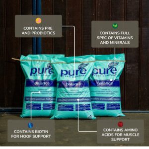 3 bags balance descriptions