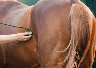 Gastric Ulcer Syndrome