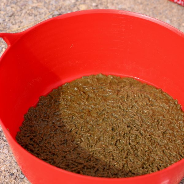 A freshly soaked serving of Pure Feed Refuel in a red bucket, showing its hydrating and nutrient-rich mash consistency.