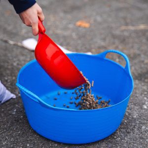 Pure Feed Condition Pellets – Premium Nutrition for Weight & Muscle Gain A red scoop pouring Pure Feed Condition Pellets into a blue bucket, providing high-calorie nutrition for horses needing extra conditioning.