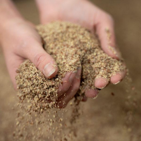Hands holding and letting Pure Inseed meal flow, showcasing its fine texture and nutrient-rich composition for equine nutrition.