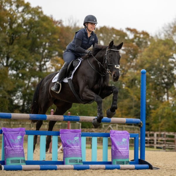 Pure Inseed – Omega-Rich Supplement for Performance Horses