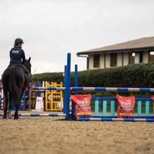 Pure Feed Performance – High-Energy Feed for Sport & Competition A rider on horseback in an arena with Pure Feed Performance horse feed bags placed along the showjumping course.