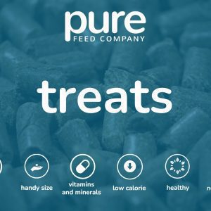 Treat Icon