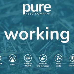 Working icons