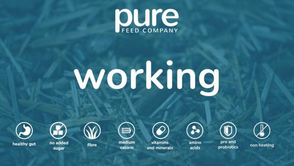 Working icons