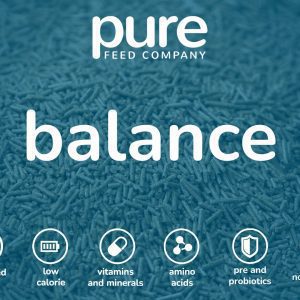 Balance Icon