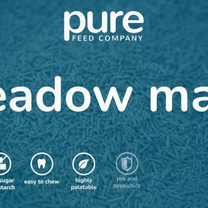 Meadow Mash Icon