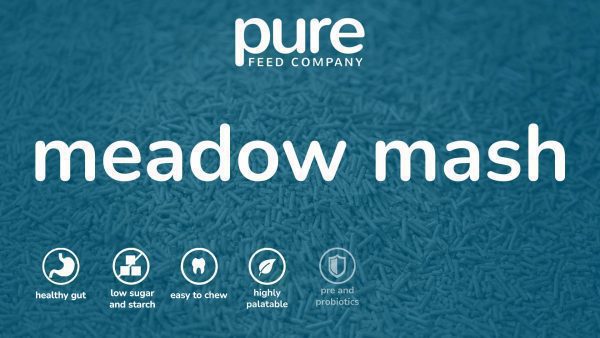 Meadow Mash Icon