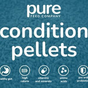 Condition Pellets Icon