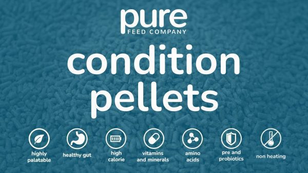 Condition Pellets Icon