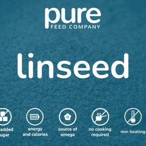 Linseed Icon