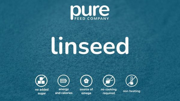 Linseed Icon