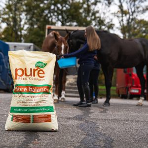 Convenient Outdoor Feeding: Horse Enjoying a Meal Beside Horsebox Front view of Pure Feed's Pure Fibre Balance horse feed bag by horsebox