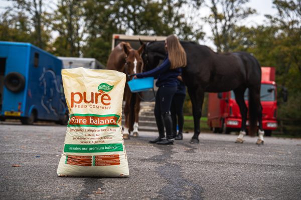 Convenient Outdoor Feeding: Horse Enjoying a Meal Beside Horsebox Front view of Pure Feed's Pure Fibre Balance horse feed bag by horsebox