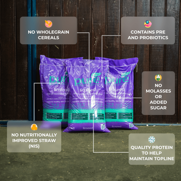 Pure Feed Company Linseed – full-fat micronised linseed for horses