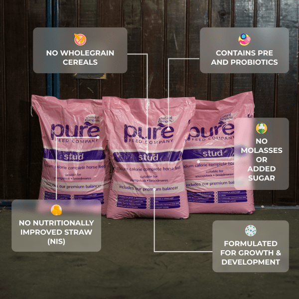 Pure Stud Pellets – Balanced Nutrition for Growth & Development Pure Feed Company Stud Pellets – complete feed for youngstock and broodmares with no added sugar