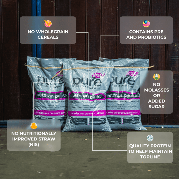 Bags of Pure Feed Company Veteran Pellets with key benefits for older horses highlighted