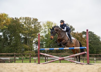 Showjumping