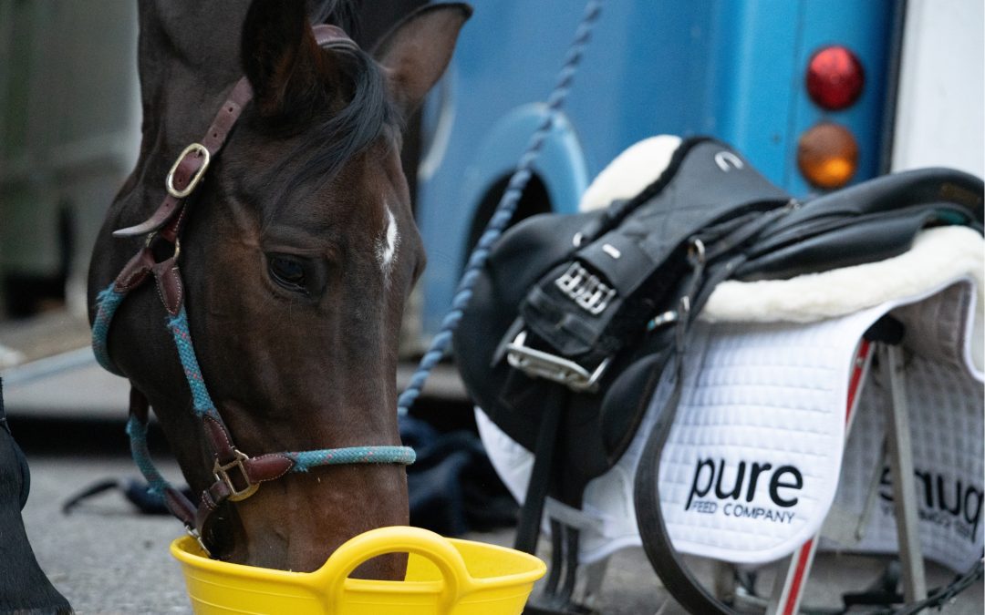 How Pure Feed Can Save You Money