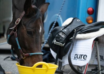 How Pure Feed Can Save You Money