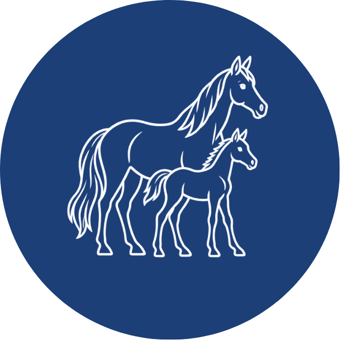 Mare and foal white icon in blue circle