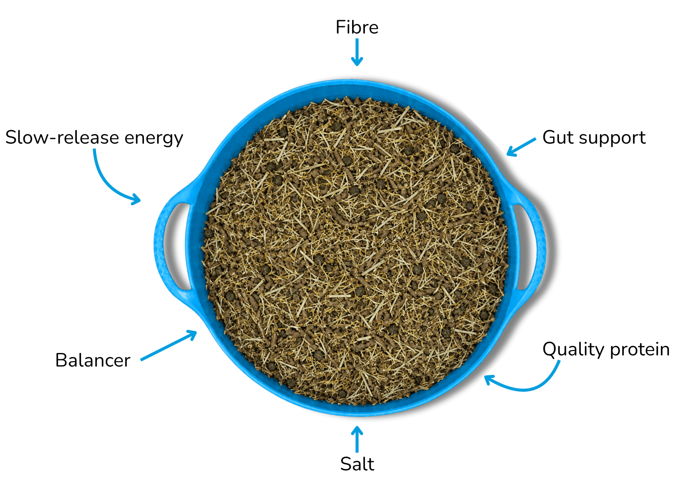 Pure Complete Feed in blue bowl